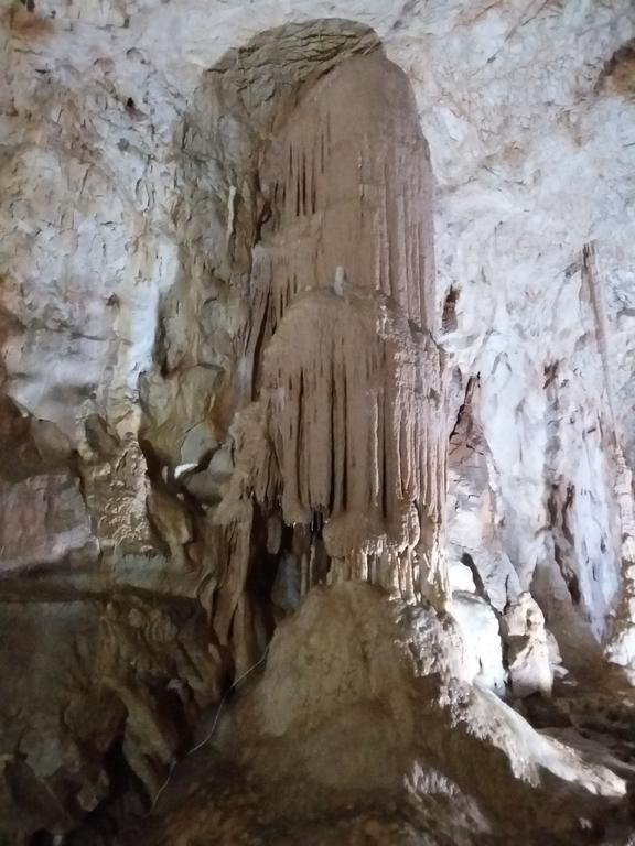 Pensiunea Piatra Graitoare Vartop Εξωτερικό φωτογραφία