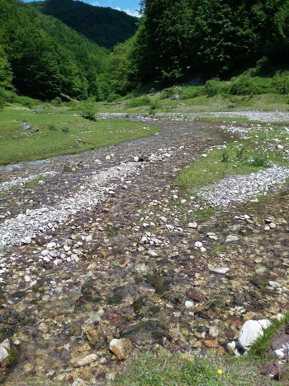 Pensiunea Piatra Graitoare Vartop Εξωτερικό φωτογραφία