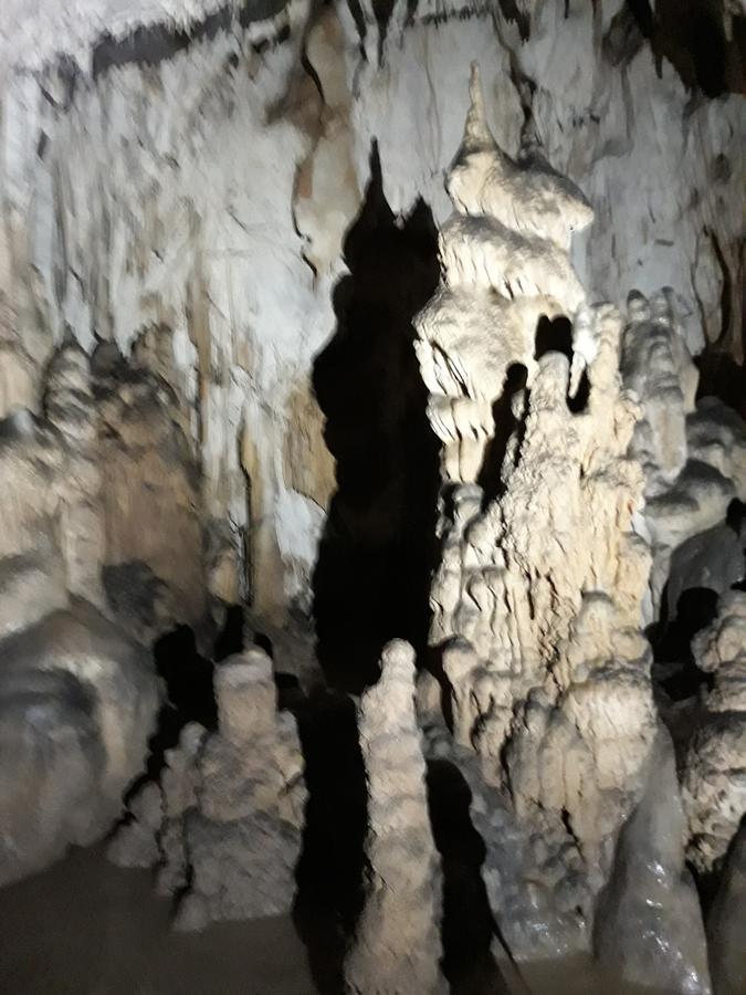 Pensiunea Piatra Graitoare Vartop Εξωτερικό φωτογραφία