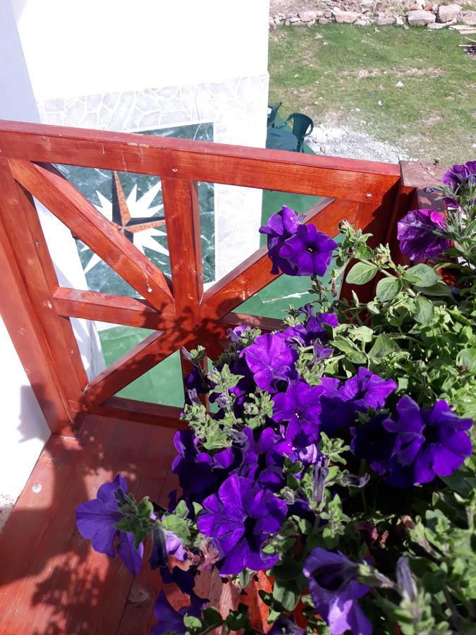 Pensiunea Piatra Graitoare Vartop Εξωτερικό φωτογραφία
